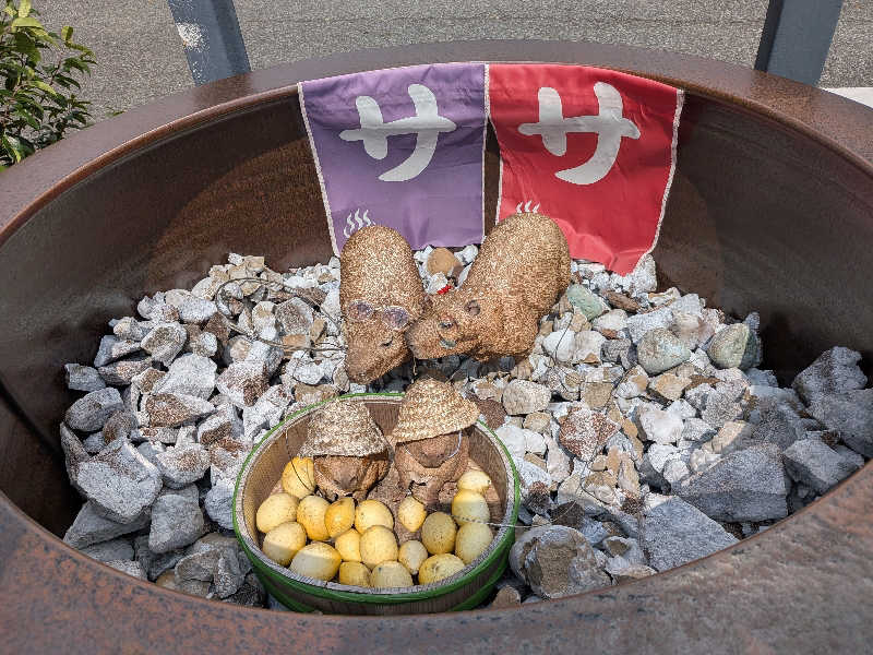 のりさんの富士山天然水SPA サウナ鷹の湯のサ活写真