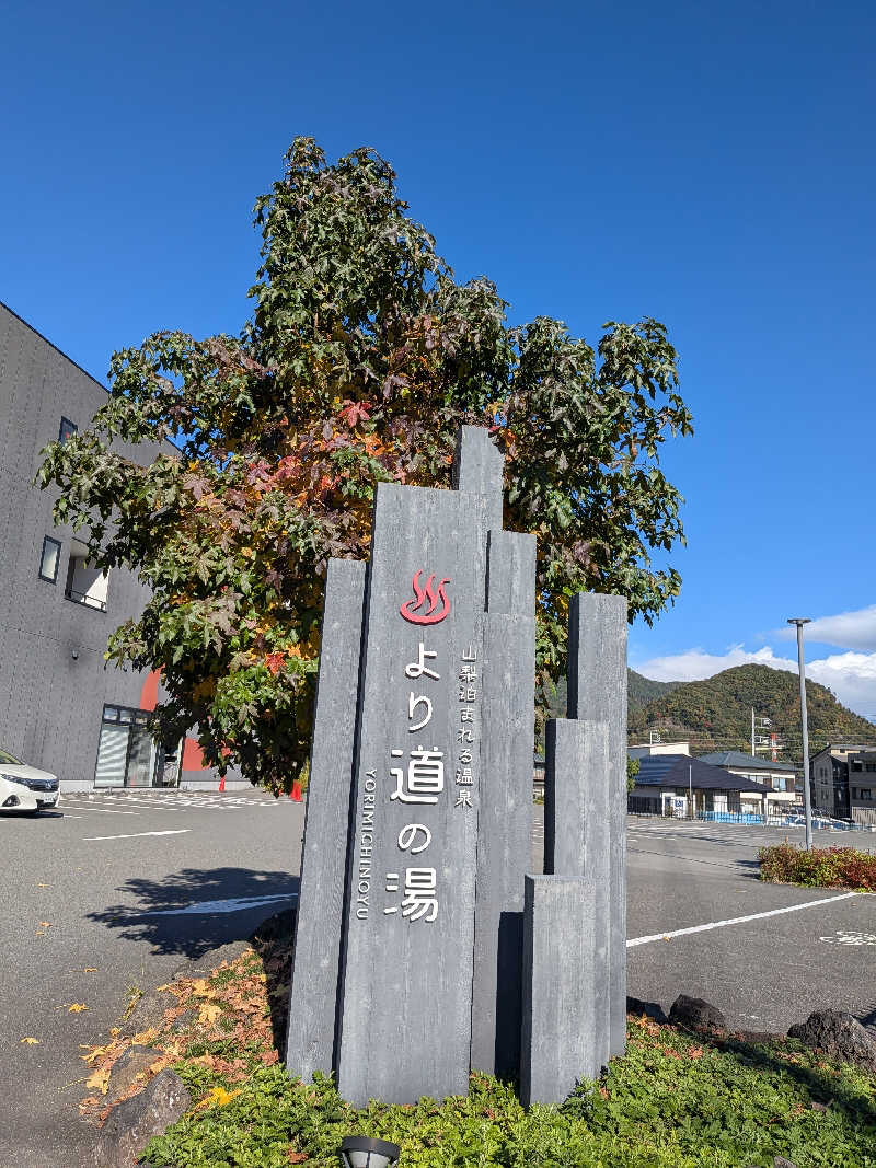 のりさんの山梨泊まれる温泉 より道の湯のサ活写真