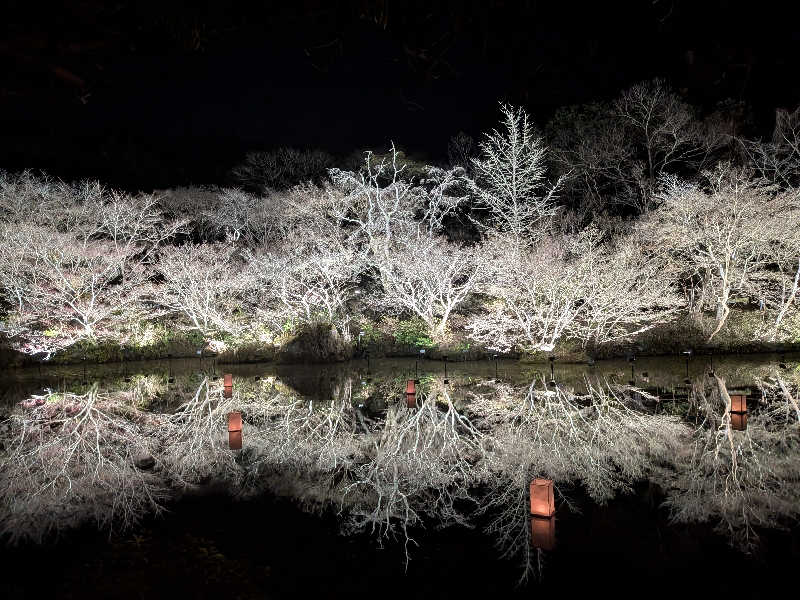 のりさんの御船山楽園ホテル  らかんの湯のサ活写真