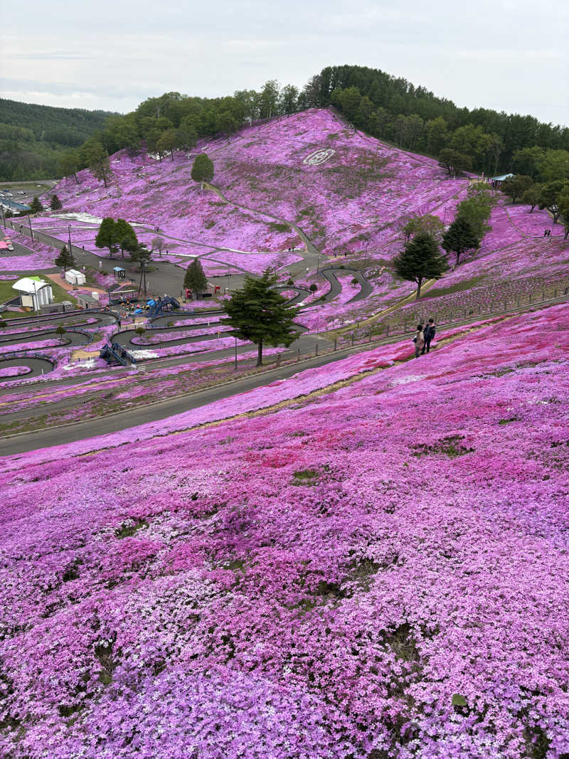 MAINALUさんの峠の湯びほろのサ活写真
