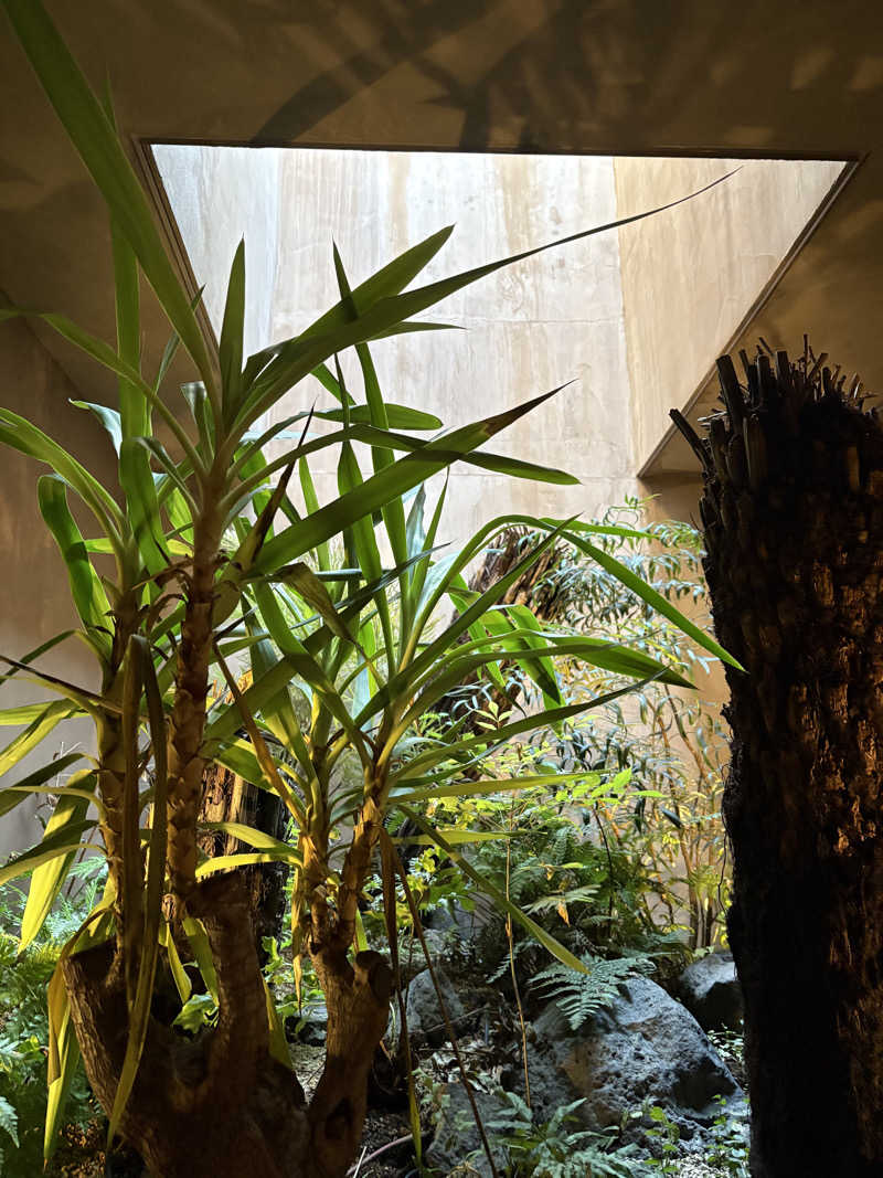 MAINALUさんのHiki stargazing saunaのサ活写真