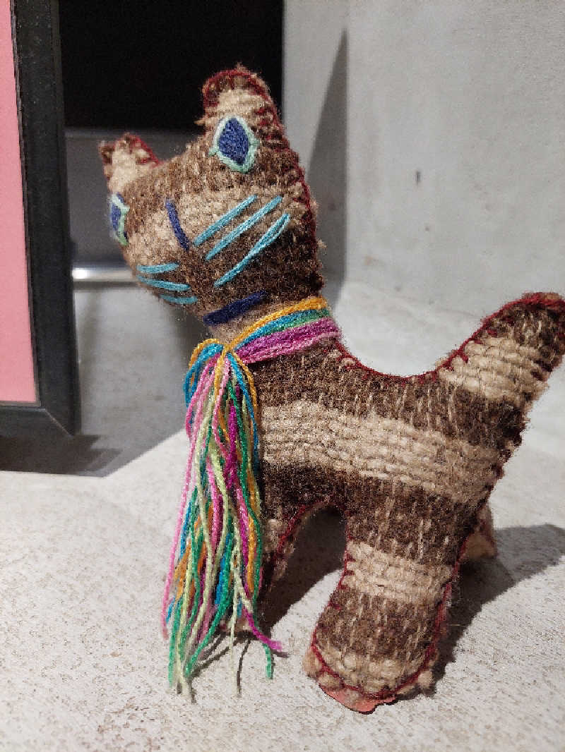 はごろもさんの東道後のそらともりのサ活写真