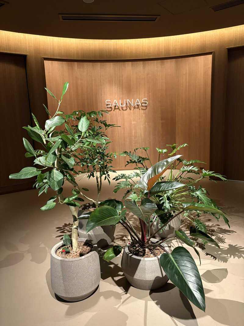 わがはいおにいちゃんさんの高輪SAUNASのサ活写真