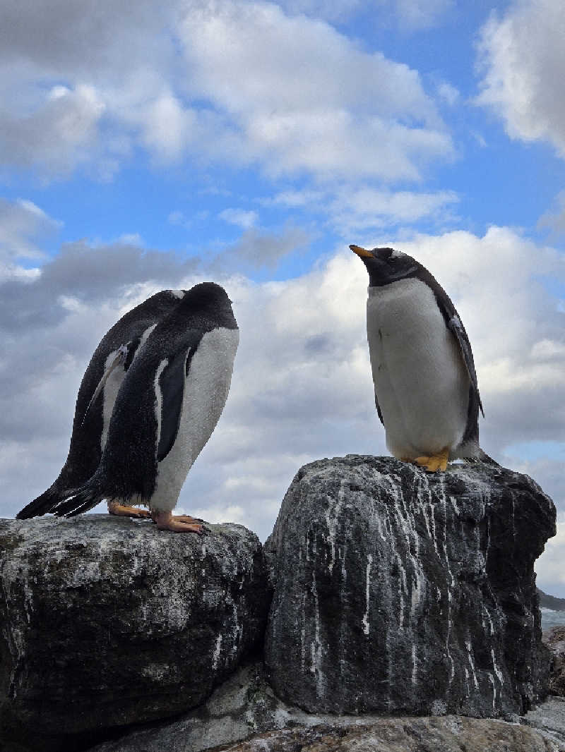 アキネクトさんの灯の湯 ドーミーインPREMIUM小樽のサ活写真