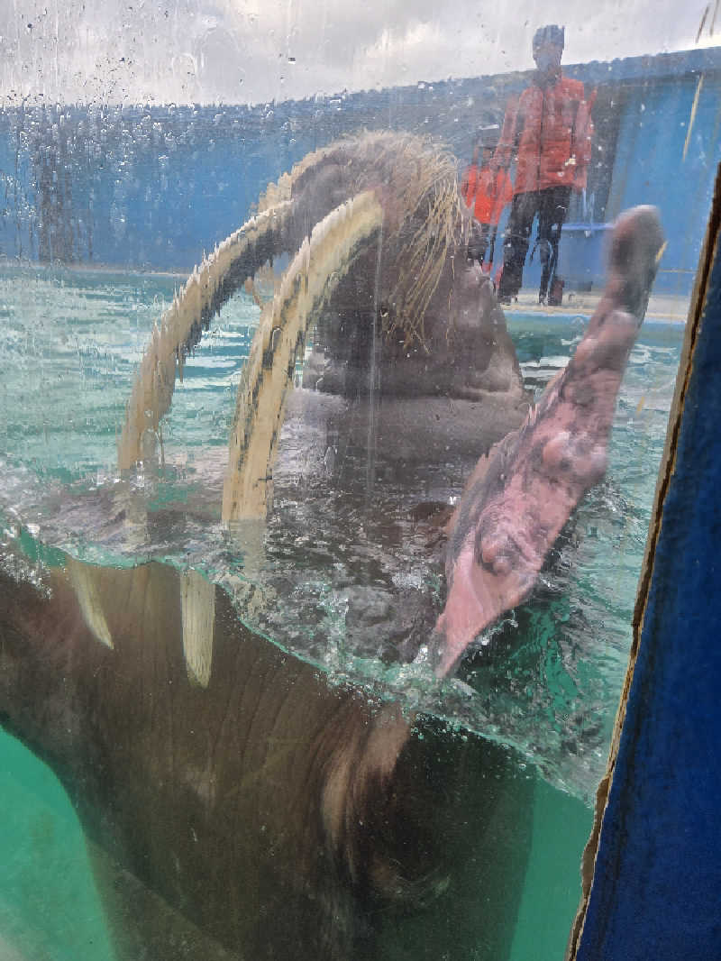 アキネクトさんの灯の湯 ドーミーインPREMIUM小樽のサ活写真