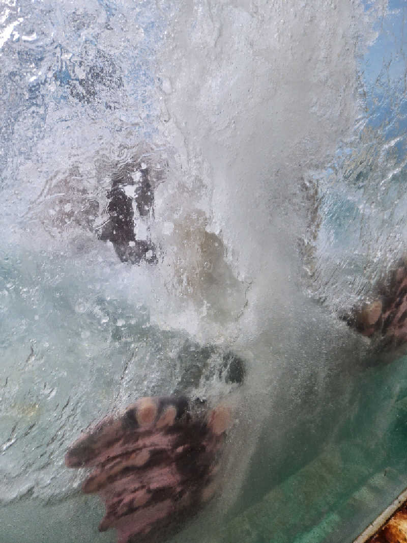 アキネクトさんの灯の湯 ドーミーインPREMIUM小樽のサ活写真