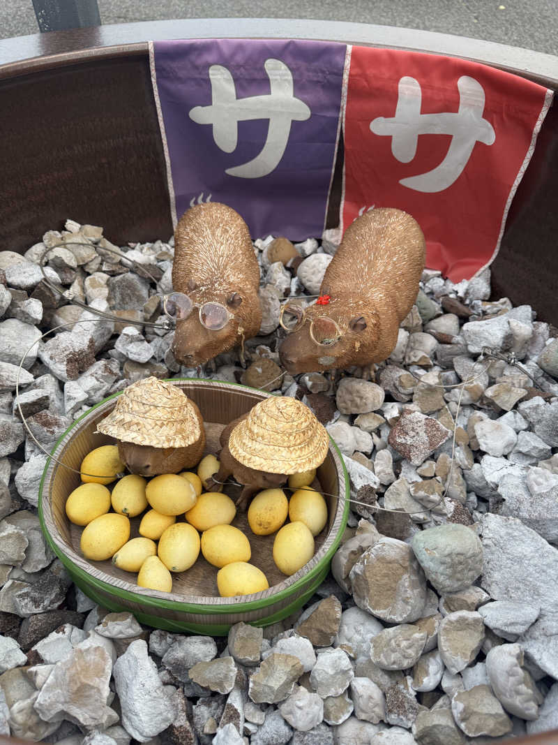 おゆきさんの富士山天然水SPA サウナ鷹の湯のサ活写真