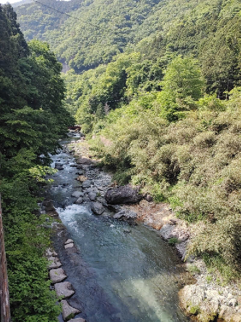 てっちゃんさんの道志川温泉紅椿の湯のサ活写真