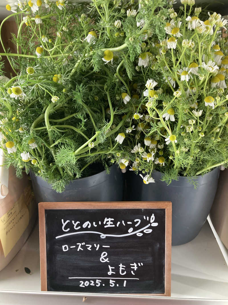 あきひろさんの各務原 恵みの湯のサ活写真
