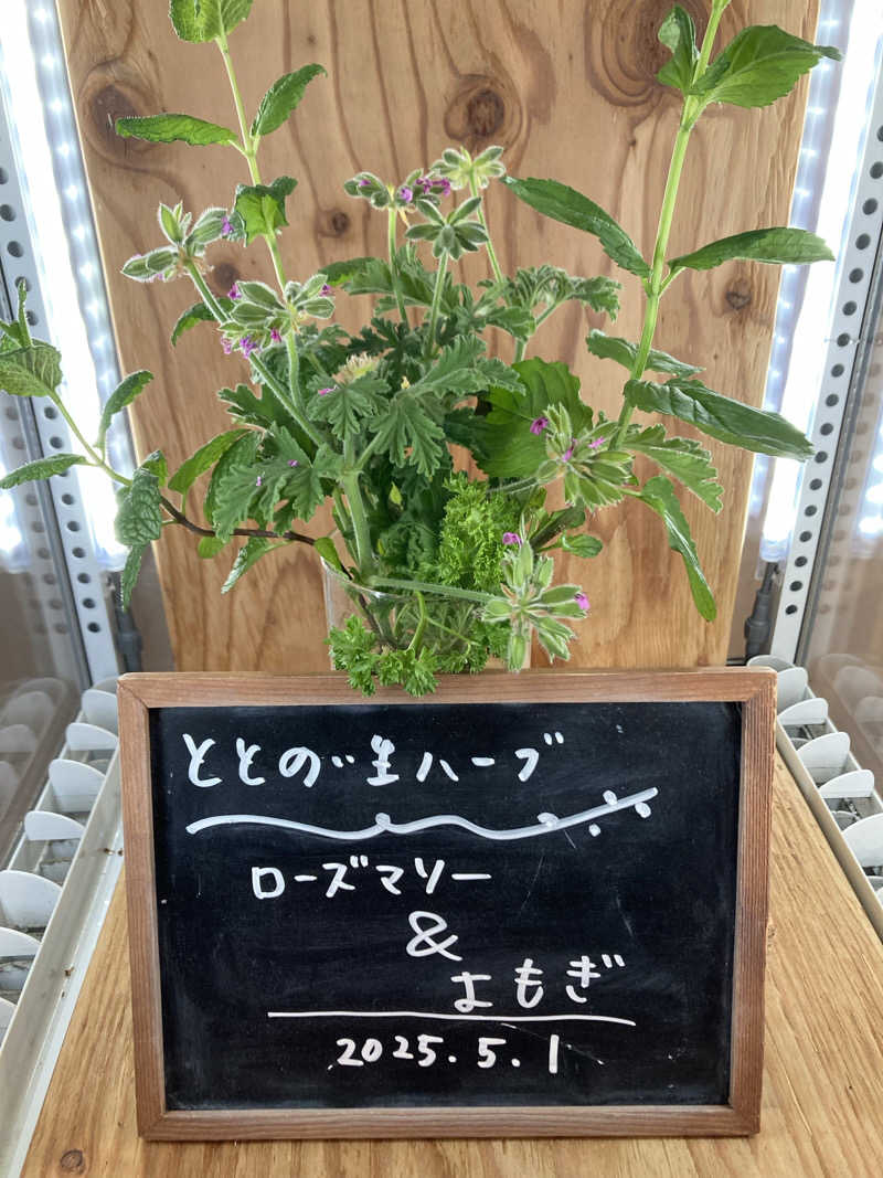 あきひろさんの各務原 恵みの湯のサ活写真