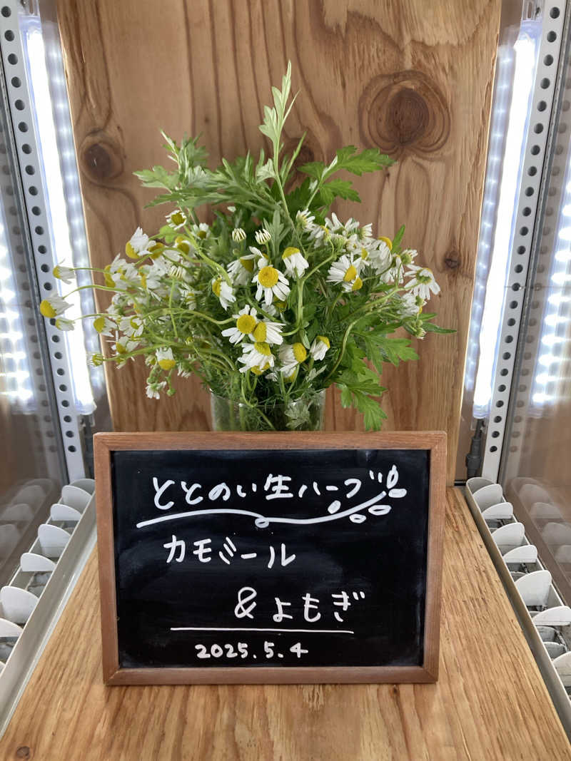 あきひろさんの各務原 恵みの湯のサ活写真