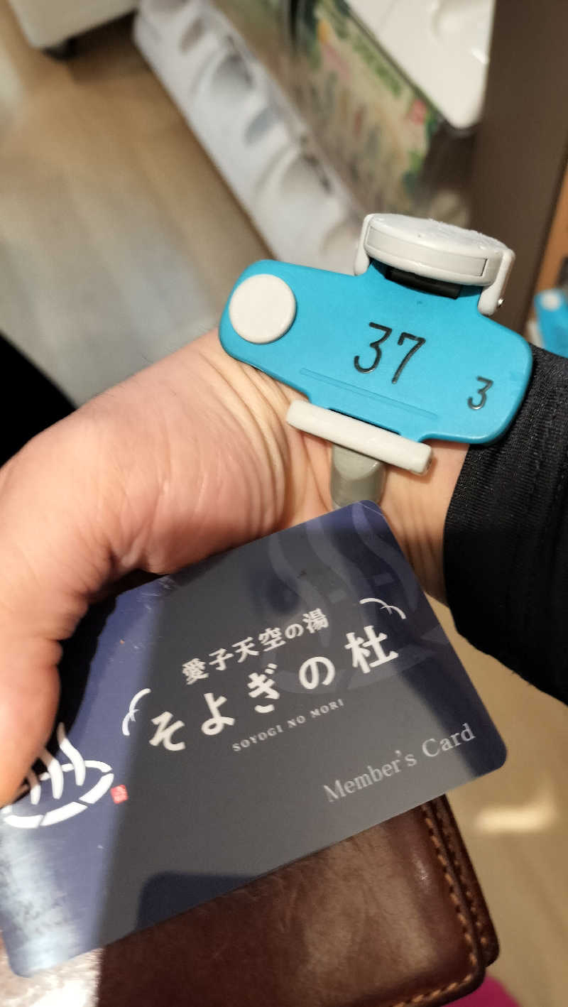 みやさんさんの愛子天空の湯 そよぎの杜のサ活写真