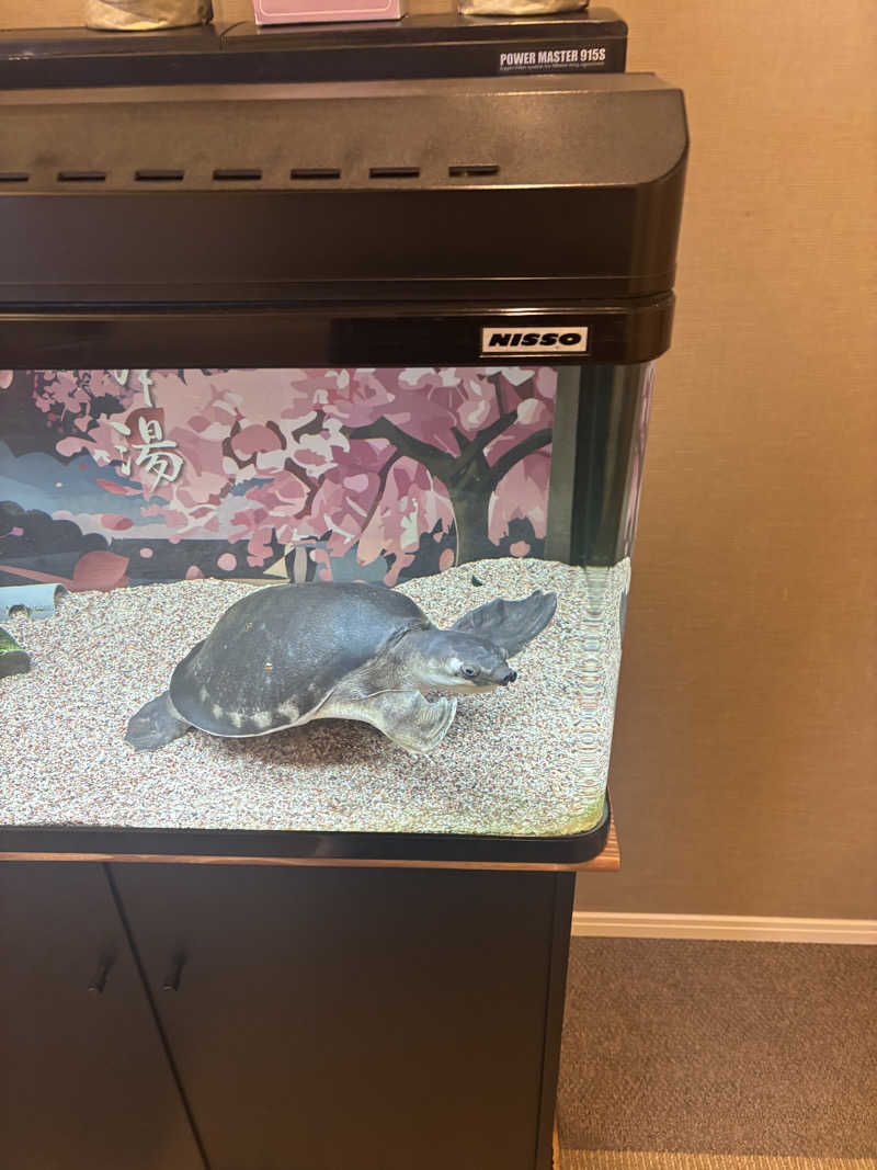 もちまりさんの松本湯のサ活写真