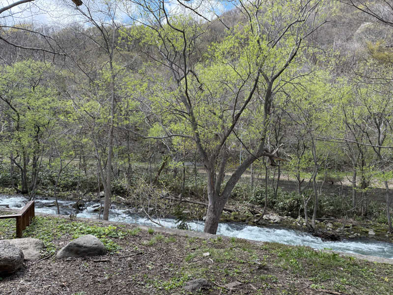 みずなら4号さんの旅房はなえみのサ活写真