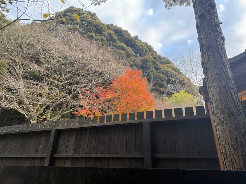 サウナー20240227さんの御船山楽園ホテル  らかんの湯のサ活写真