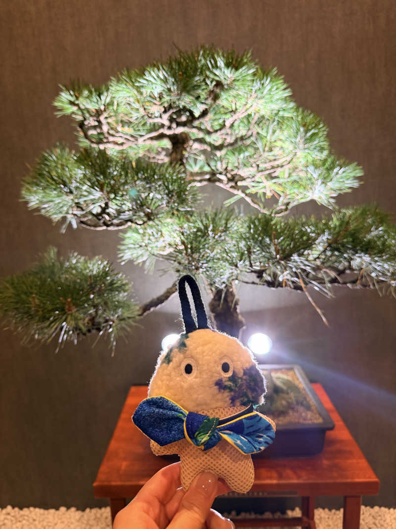 フサシカさんの天然温泉 延羽の湯 鶴橋店のサ活写真