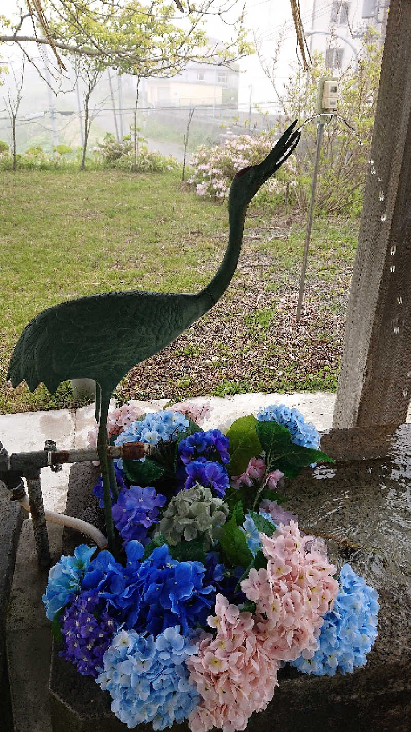 サ藤さんの栄湯のサ活写真