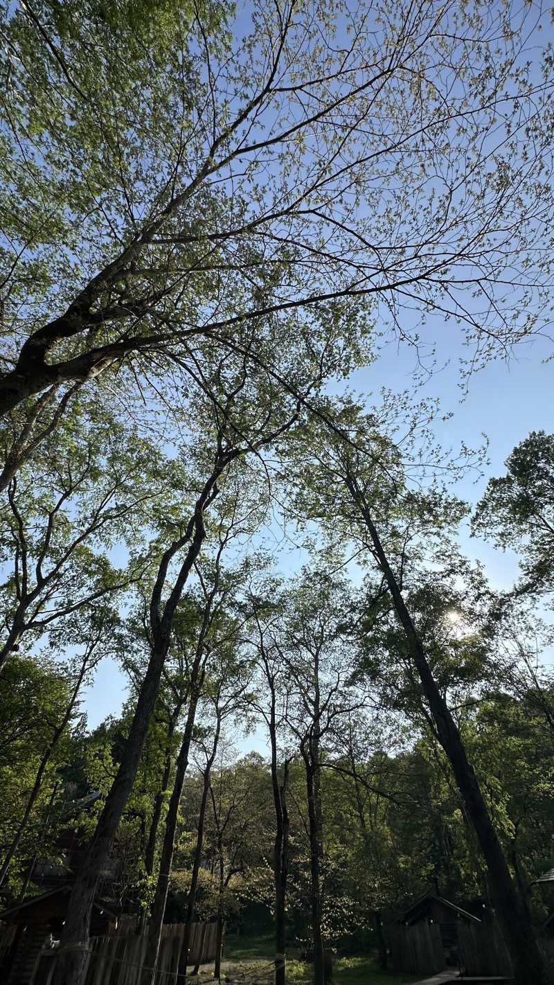 まる :ジム代表/理学療法士【長野市】さんのThe Saunaのサ活写真