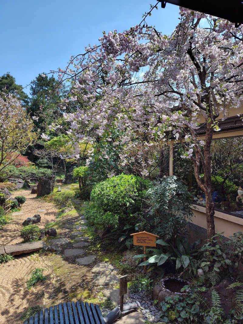 UT（ソロ）さんの前野原温泉 さやの湯処のサ活写真