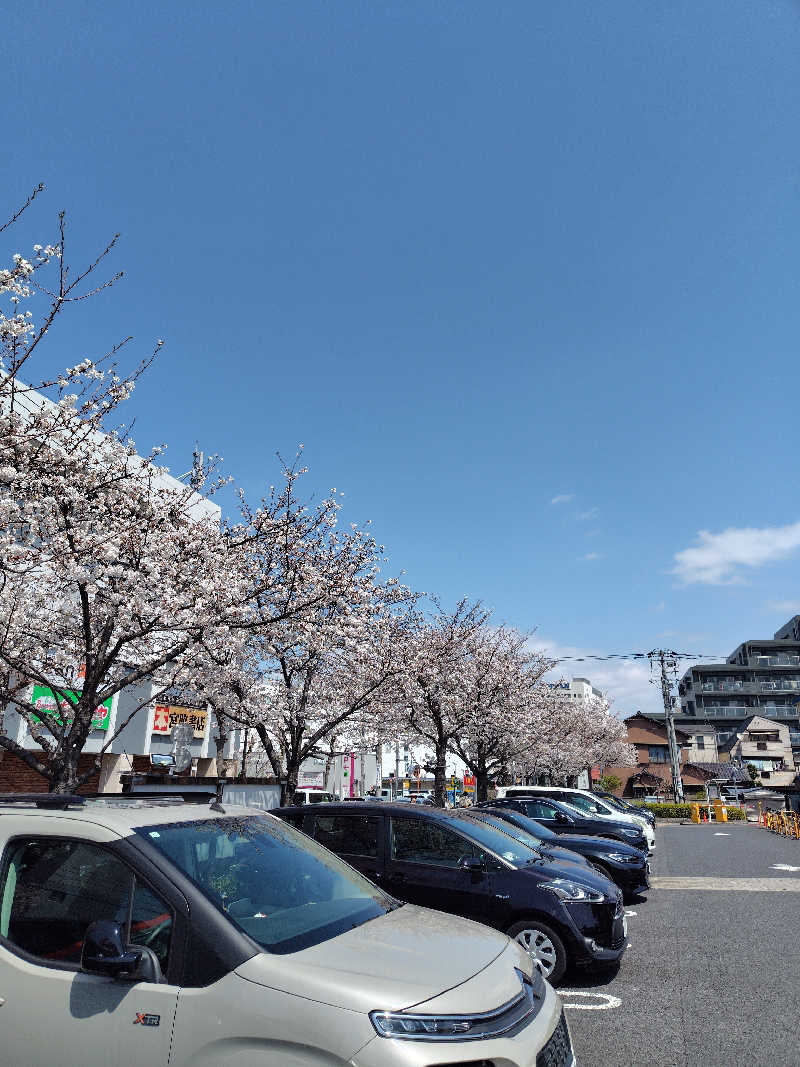 UT（ソロ）さんの前野原温泉 さやの湯処のサ活写真