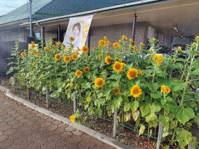 UT（ソロ）さんの野天風呂 湯の郷のサ活写真