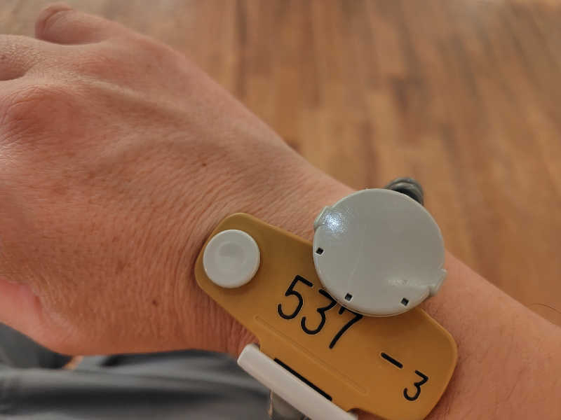 UT（ソロ）さんのスパメッツァ おおたか 竜泉寺の湯のサ活写真