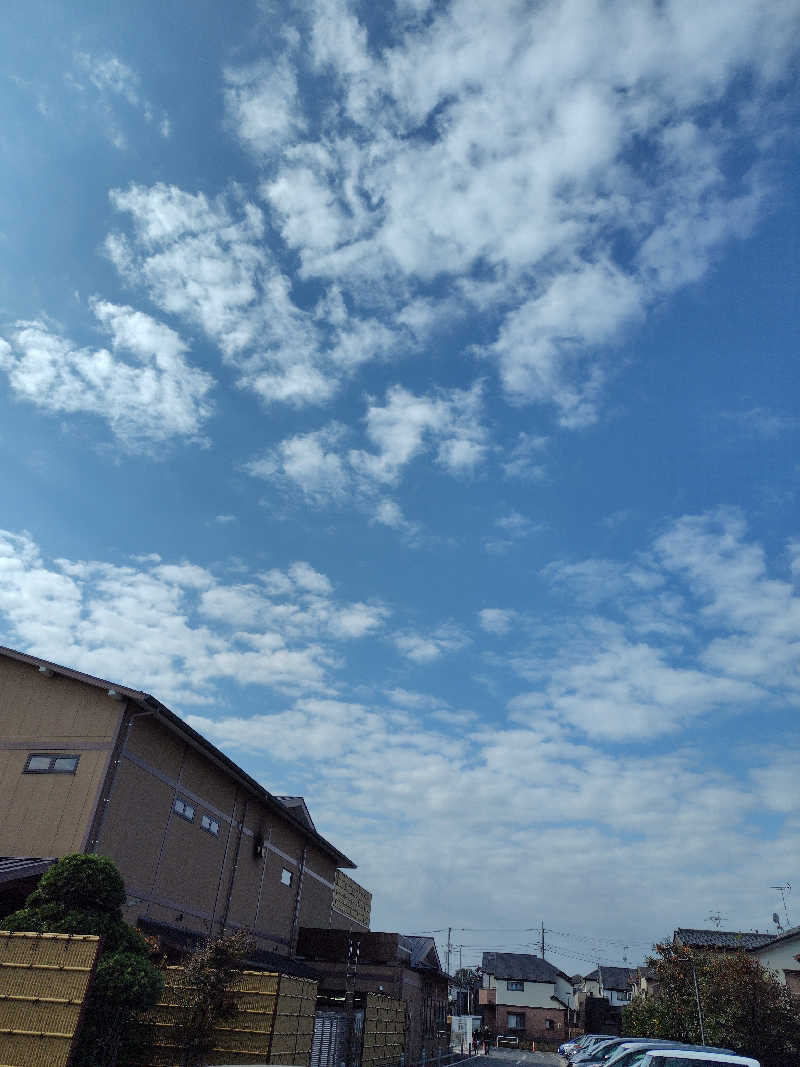 UT（ソロ）さんの南柏天然温泉すみれのサ活写真