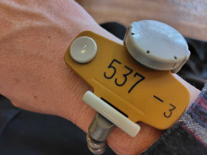 UT（ソロ）さんのスパメッツァ おおたか 竜泉寺の湯のサ活写真