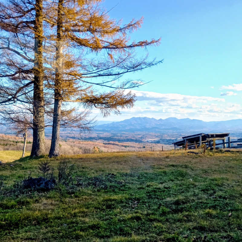 よしおか かずとしさんの網張温泉 ありね山荘のサ活写真