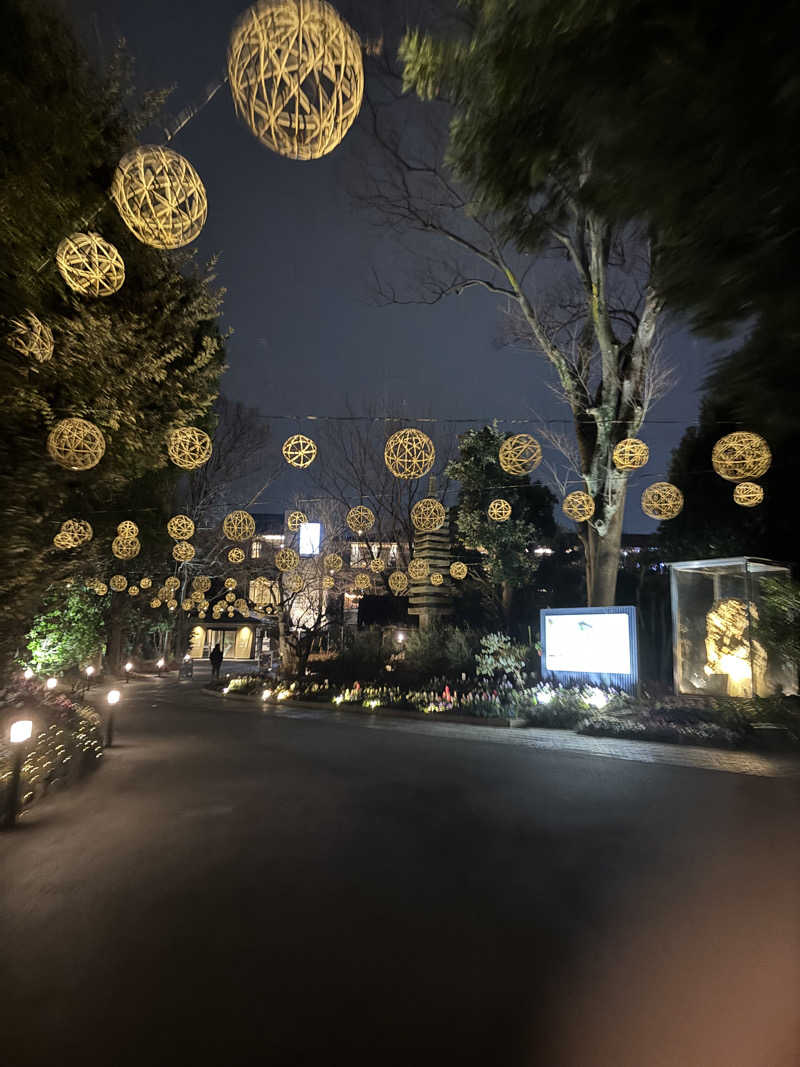 モモンガさんのよみうりランド眺望温泉 花景の湯のサ活写真