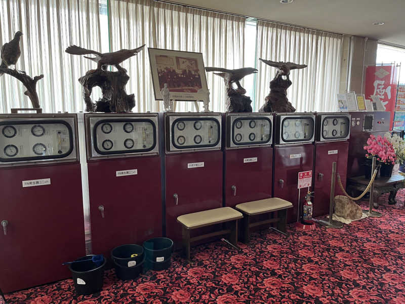 濡れ頭巾ちゃちゃさんの竜王ラドン温泉のサ活写真