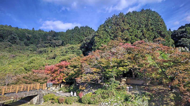 すぱかめさんのヌルヌル有田温泉のサ活写真