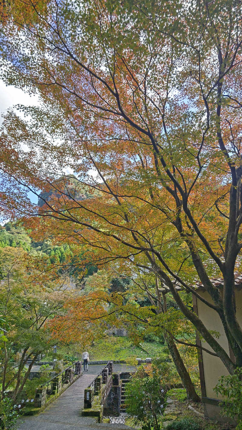 すぱかめさんのヌルヌル有田温泉のサ活写真