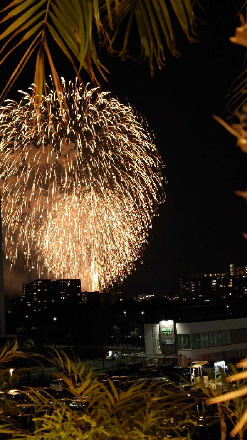 すぱかめさんの照葉スパリゾートのサ活写真