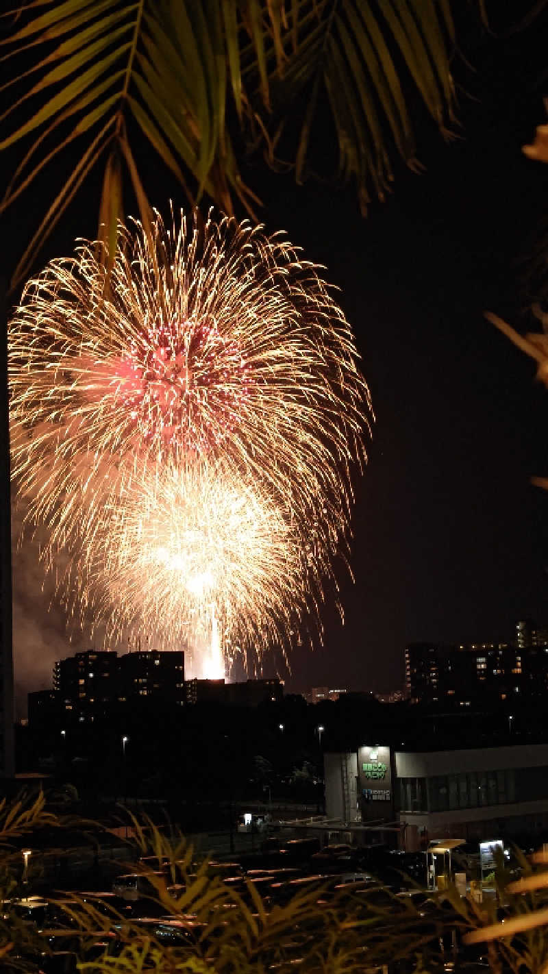 すぱかめさんの照葉スパリゾートのサ活写真