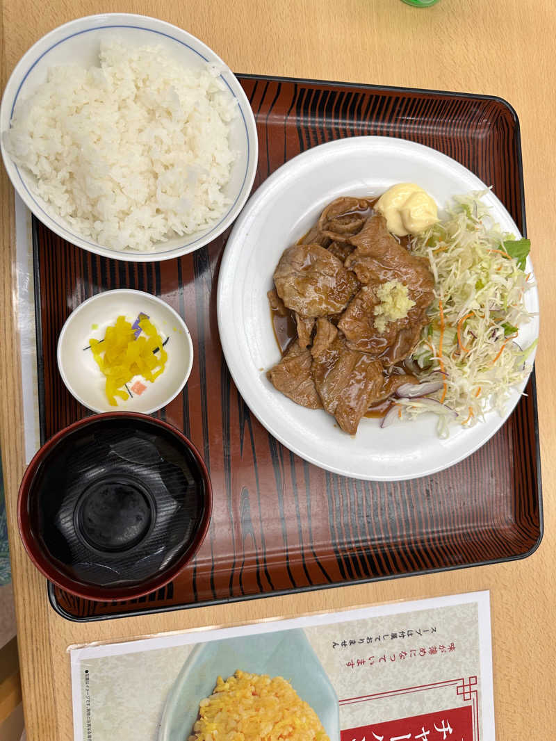 ホーリーさんの湯の泉 東名厚木健康センターのサ活写真