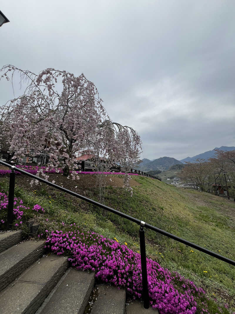 Senakaさんの天岩戸の湯のサ活写真
