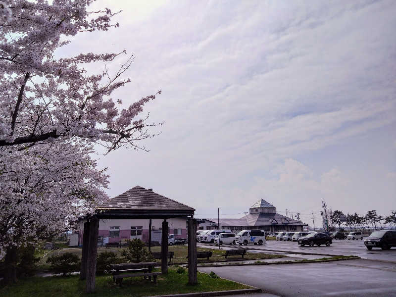 むむむさんのしゃこちゃん温泉のサ活写真