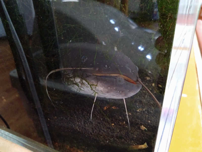 むむむさんのあさひ温泉のサ活写真
