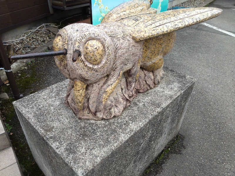 むむむさんの田沢湖水沢温泉郷 セルリアンリゾートAONIのサ活写真