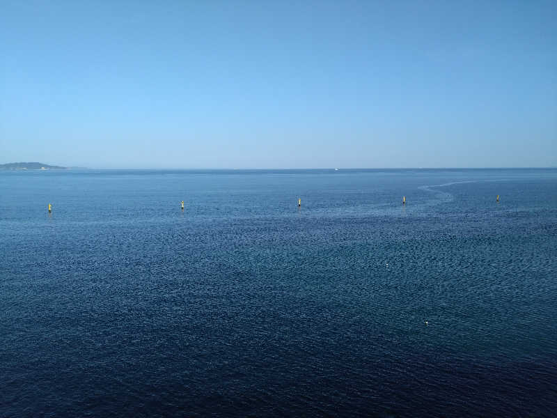 むむむさんのアオアヲナルトリゾートのサ活写真