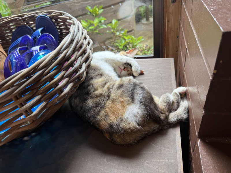 もも太さんの亜熱帯サウナのサ活写真