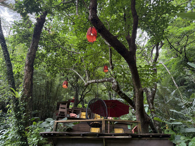 もも太さんの亜熱帯サウナのサ活写真