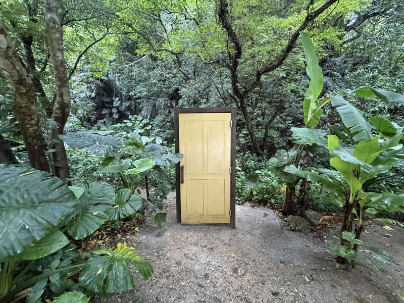 もも太さんの亜熱帯サウナのサ活写真