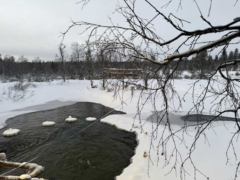 もも太さんのSuomen Latu Kiilopää/Fell Centre Kiilopääのサ活写真