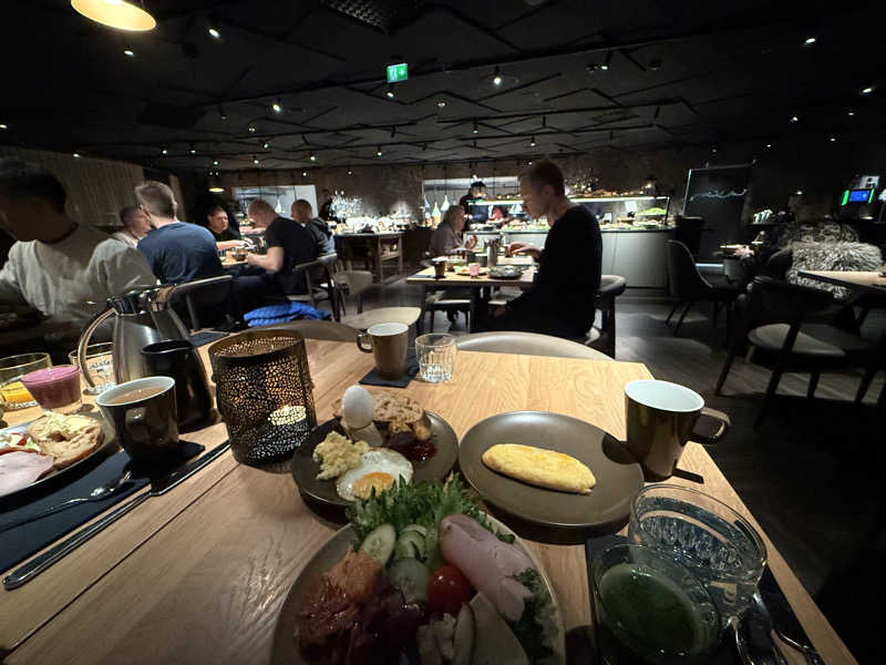 もも太さんのLapland Hotels Arenaのサ活写真