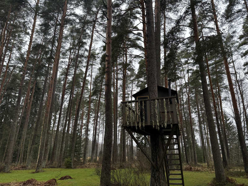 もも太さんのViking Saunaのサ活写真