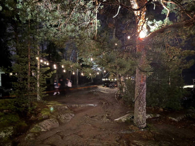 もも太さんのSaunatemppeliのサ活写真