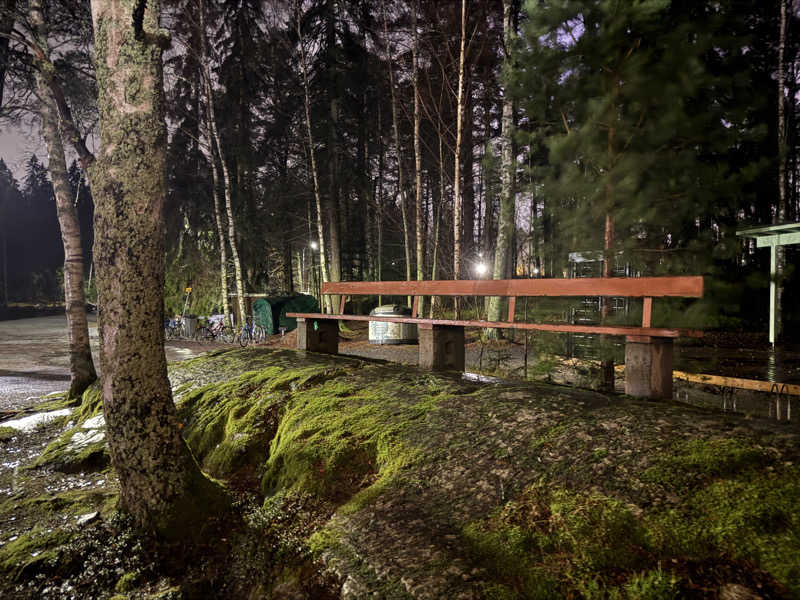 もも太さんのSaunatemppeliのサ活写真