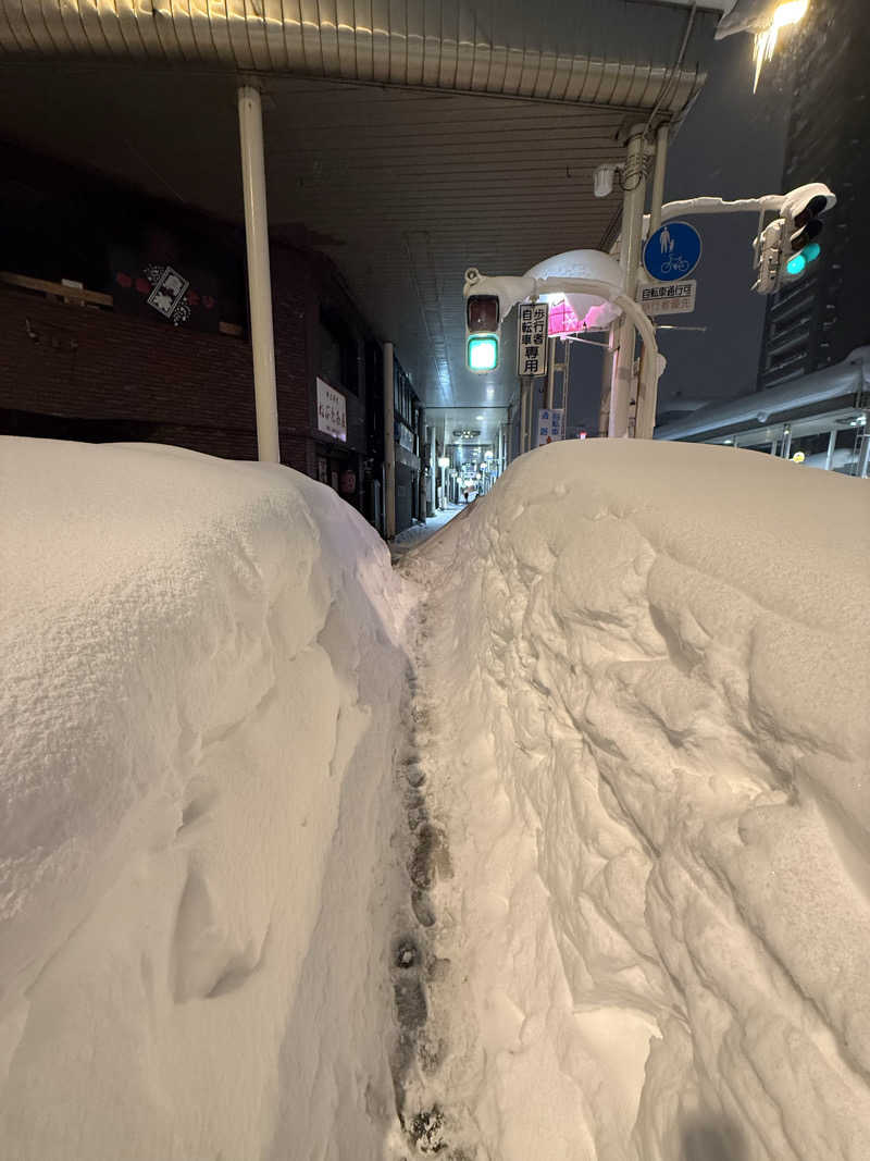 もも太さんの天然温泉 淡雪の湯 ドーミーイン青森のサ活写真